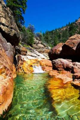 Backbone Creek