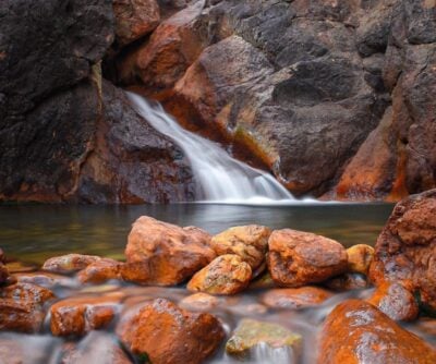 backbone creek